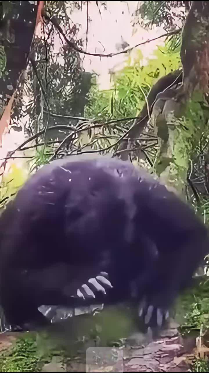 DIY your own mobile desktop ! Try it free now