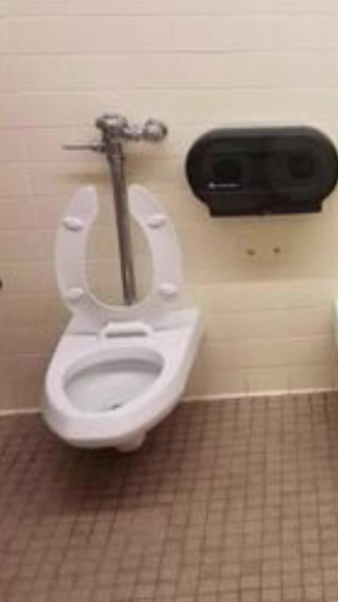 10+ million users all over the world like！