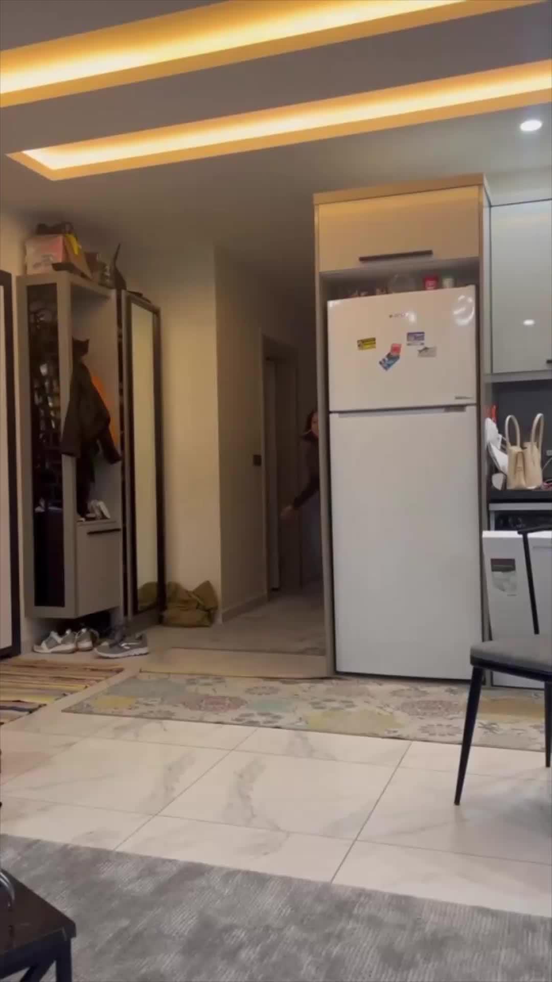 Make trendy videos and go viral!