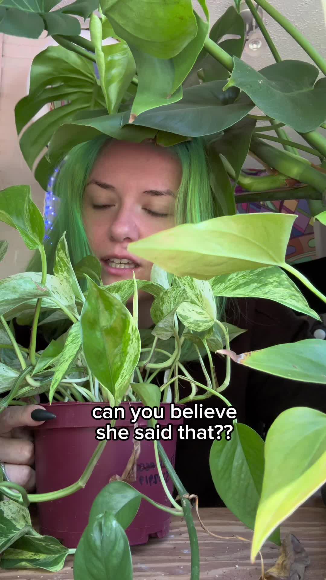 Identify any plant & diagnose plant diseases instantly!