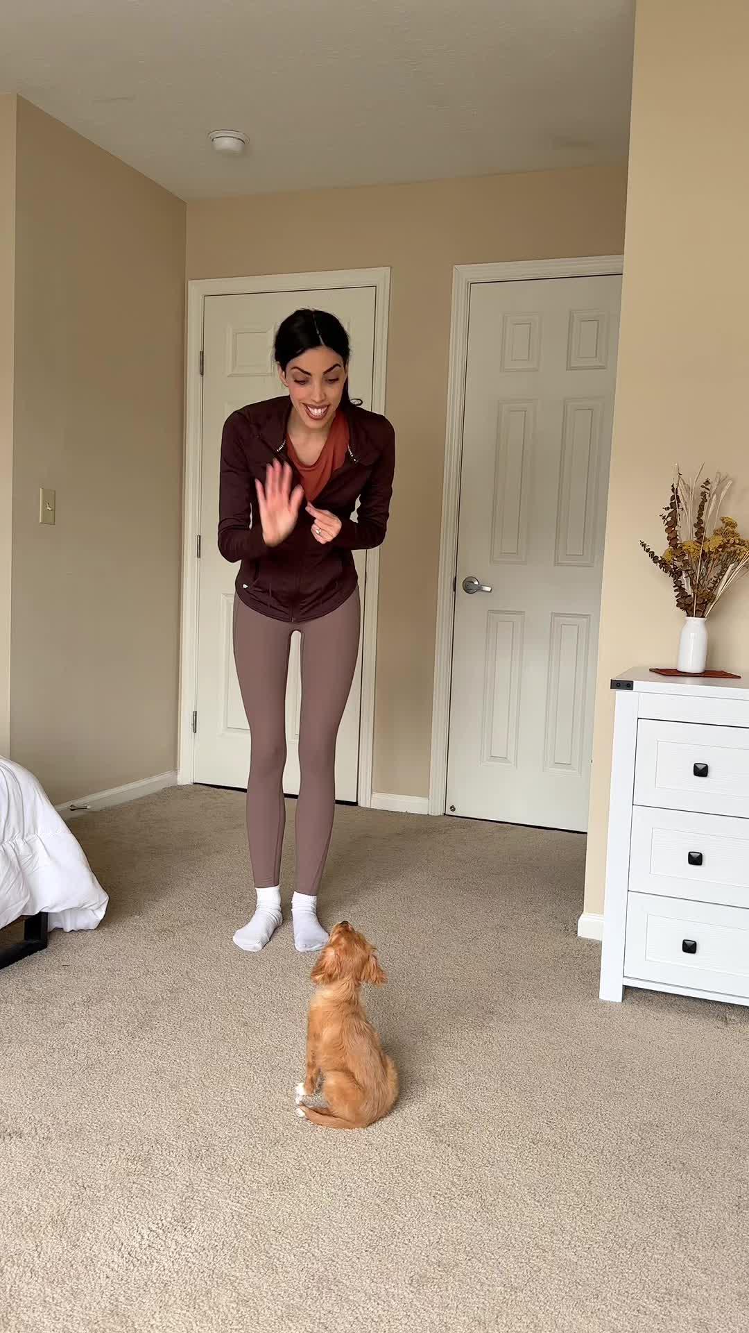 Elevate Your Pup's Skills in days!