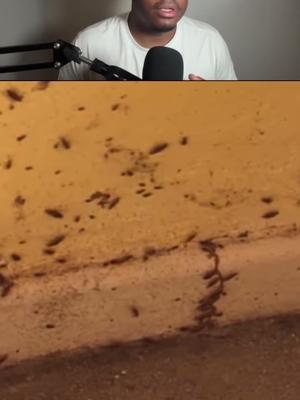 Create, manage, enjoy