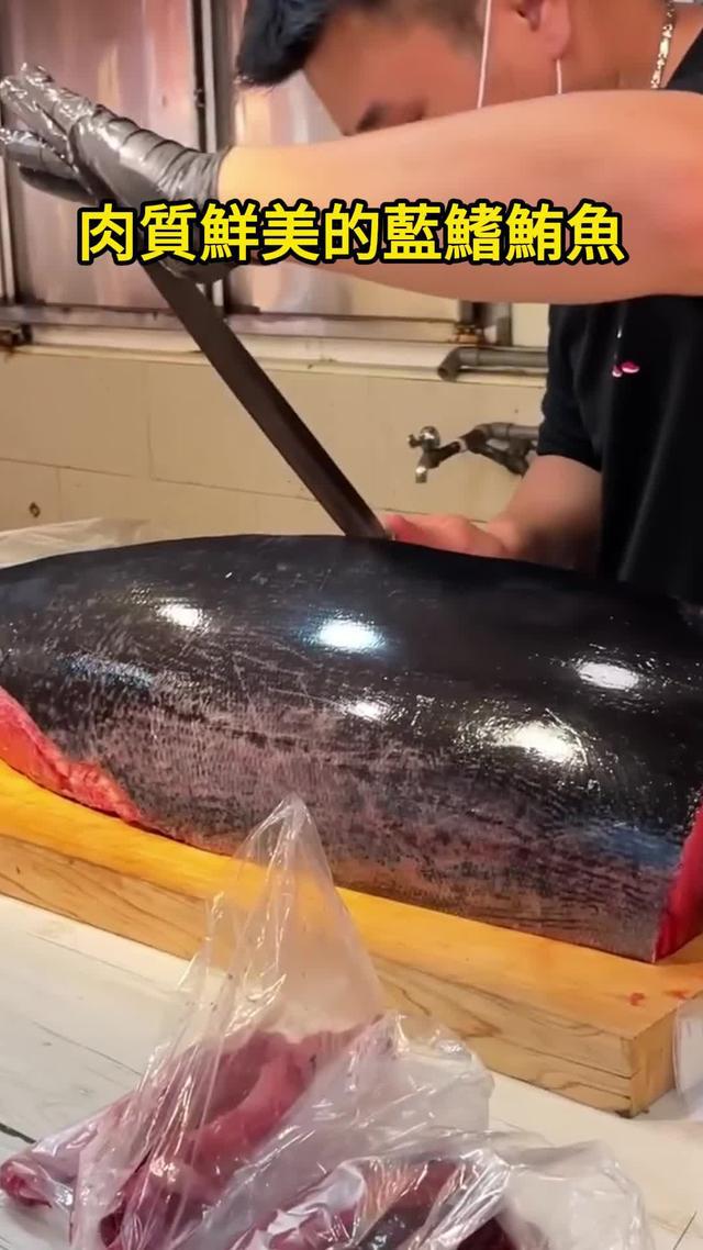 細膩逼真的3D畫面，帶你體驗釣魚的視覺盛宴！立即下載歡樂釣王傳奇！