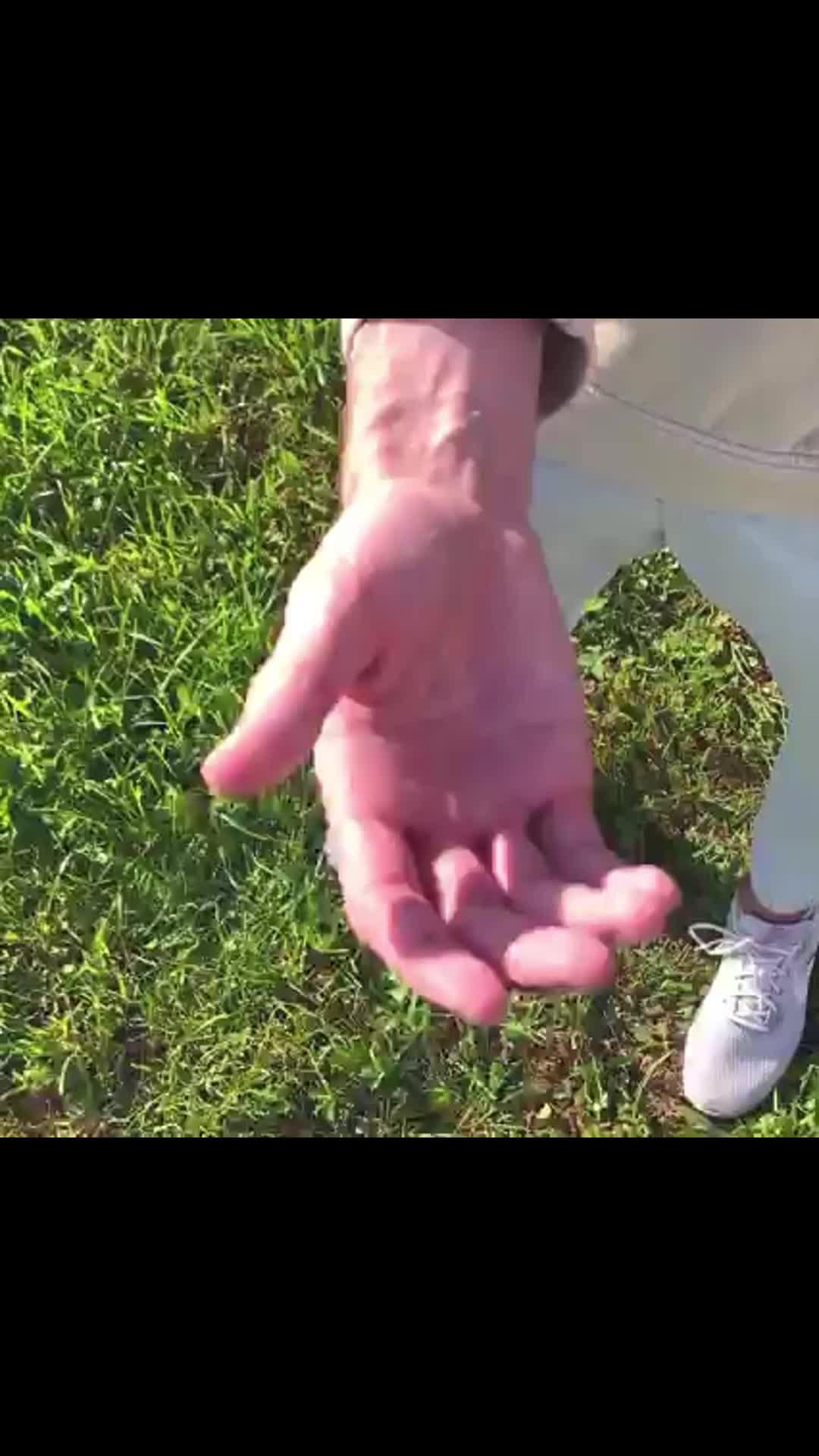 What do your palm lines tell you?