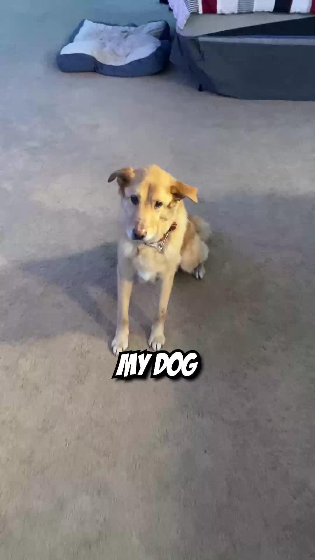 Plus with only 5-minute matches