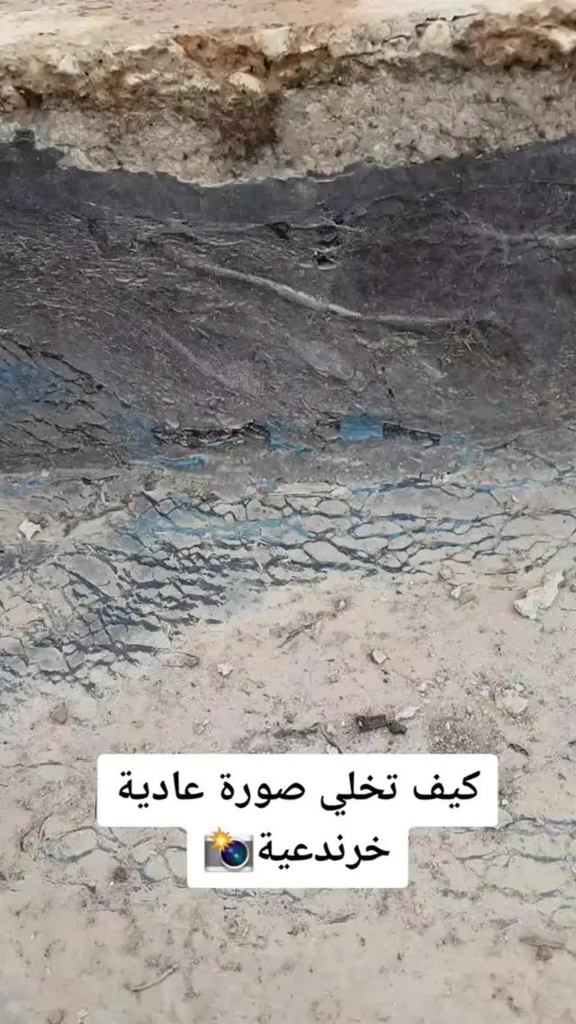 Make amazing photos in one click