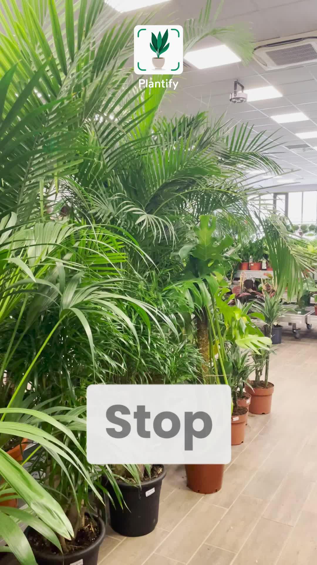 Identify any plant & diagnose plant diseases instantly!