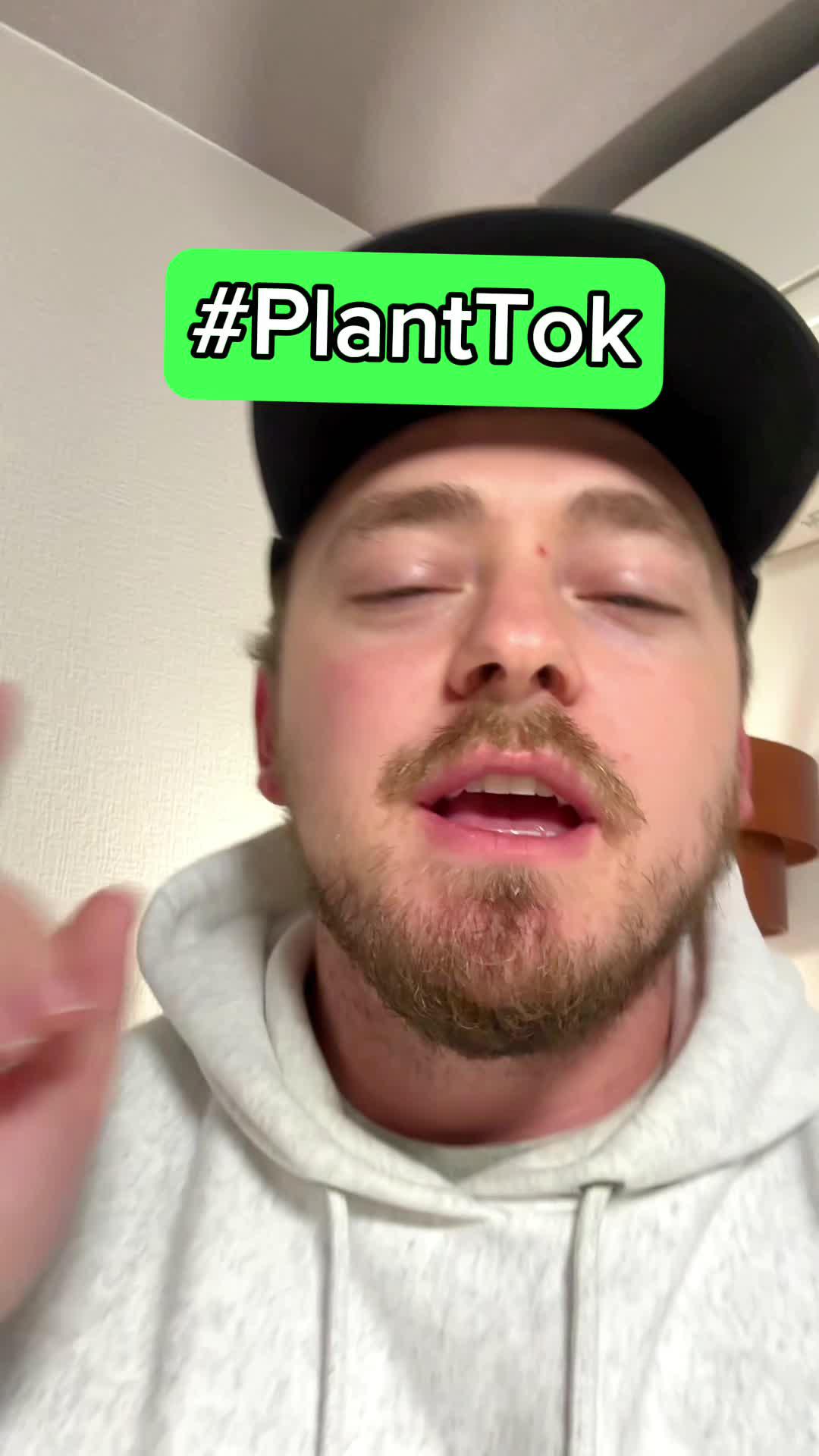 Identify plants & diseases. Get full plant information and personal care schedule.