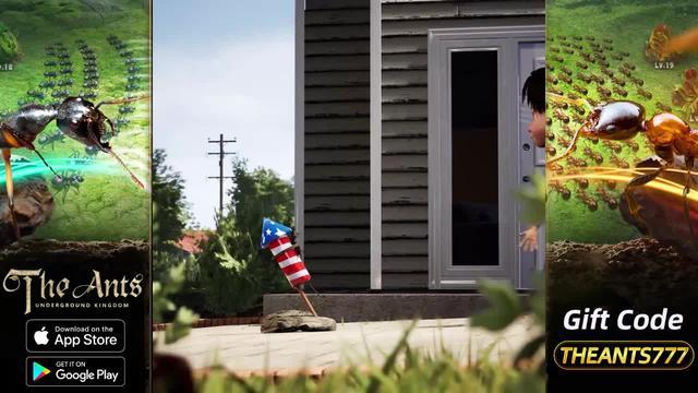 Discover thousands of ants！