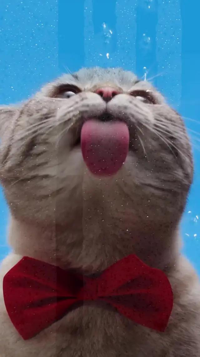 250.000 TL'ye kadar onaylı ihtiyaç kredin cebinde! Hemen Yapı Kredili Ol!