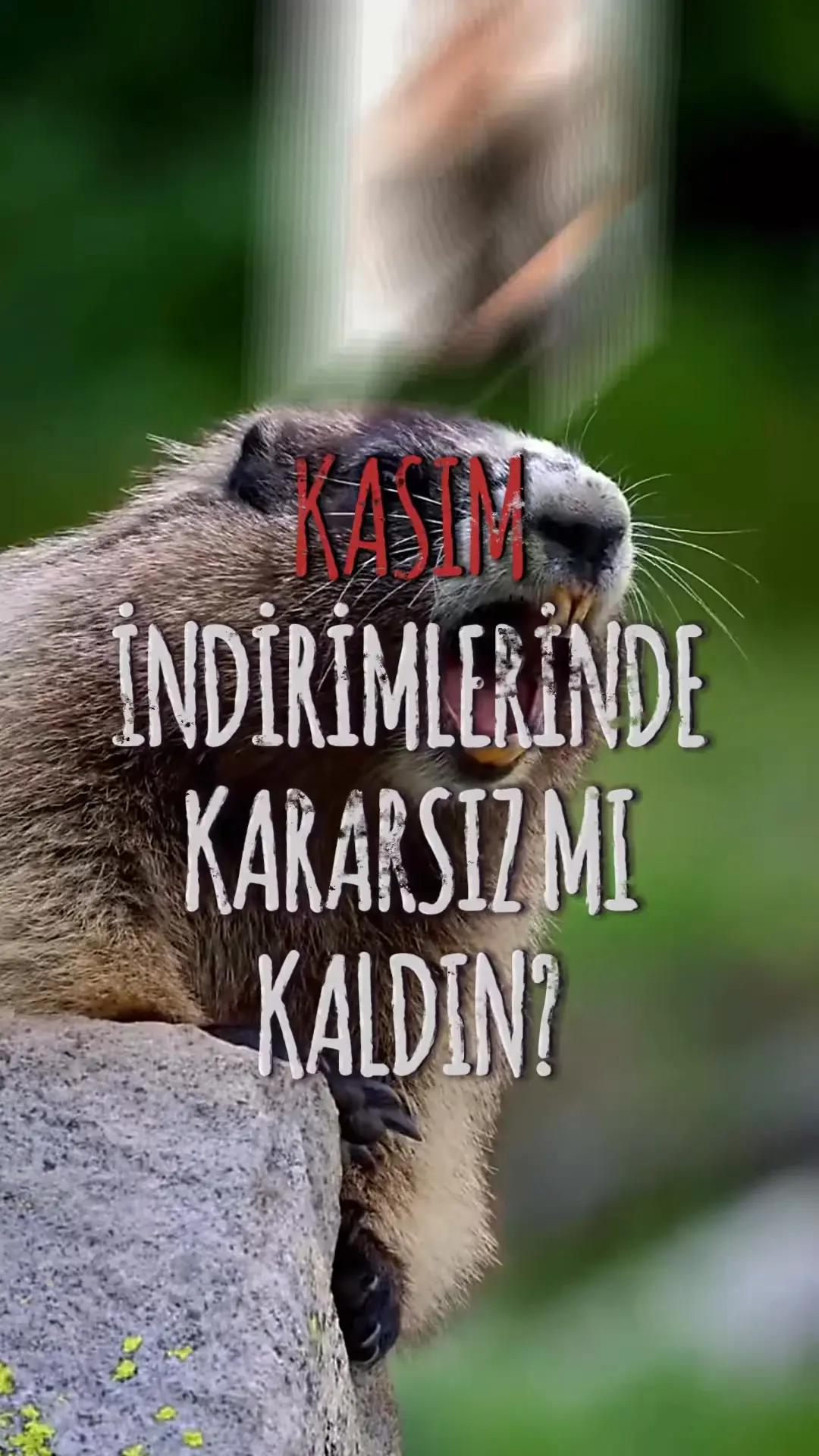 En zor tercihleri GetOpinion'la kolaylaştır! Uygulama marketinden hemen indir yüzlerce seçenek arasında kararsız kalma! #GetOpinion #kasımindirimleri #muhteşemcuma #trendyolmilla #giyimtüyolari #kombinönerileri #tarzınıseç 