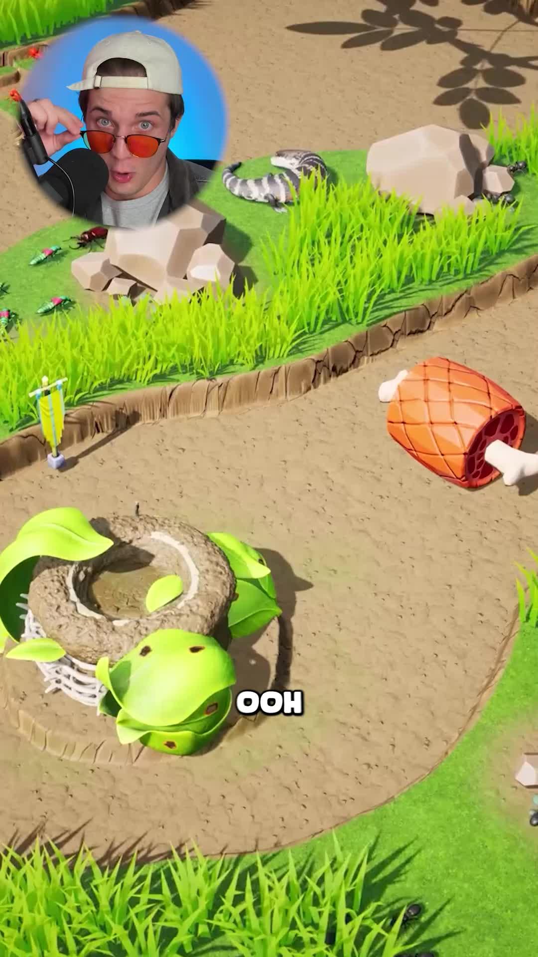 Ants are really cool creatures!!