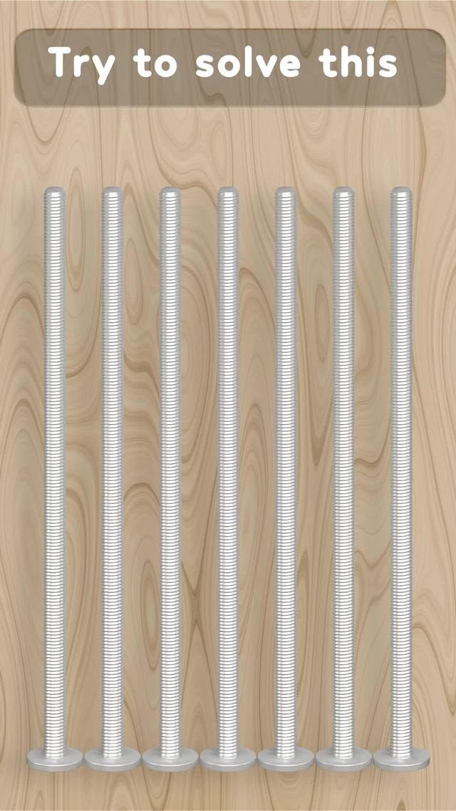 Try Best Nut Sort Game! Play Free