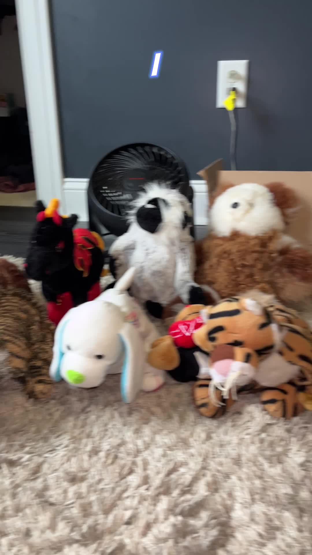 Raise a pet on your phone!