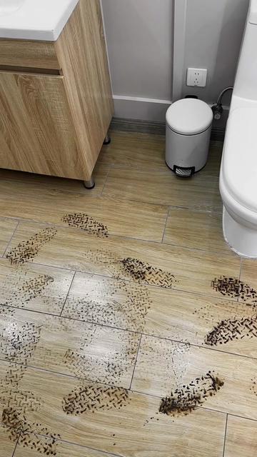 Effortlessly keep your home spotless with advanced technology that navigates and cleans with precision #RobotCleaner #SmartHome #EffortlessCleaning