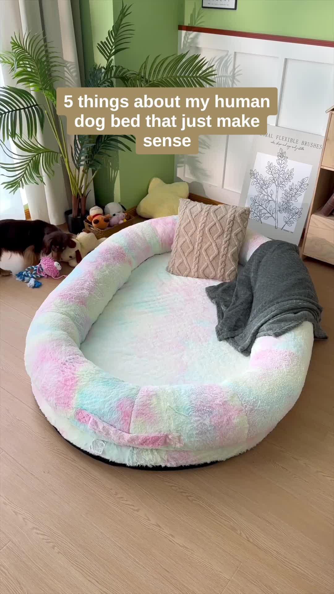 🌟 Pet lovers, behold!💖 Snag the pet essential where love meets innovation on Temu. 🐥🛍️ #BackyardBliss #TemuLove#TemuPets#TemuPetsFinds