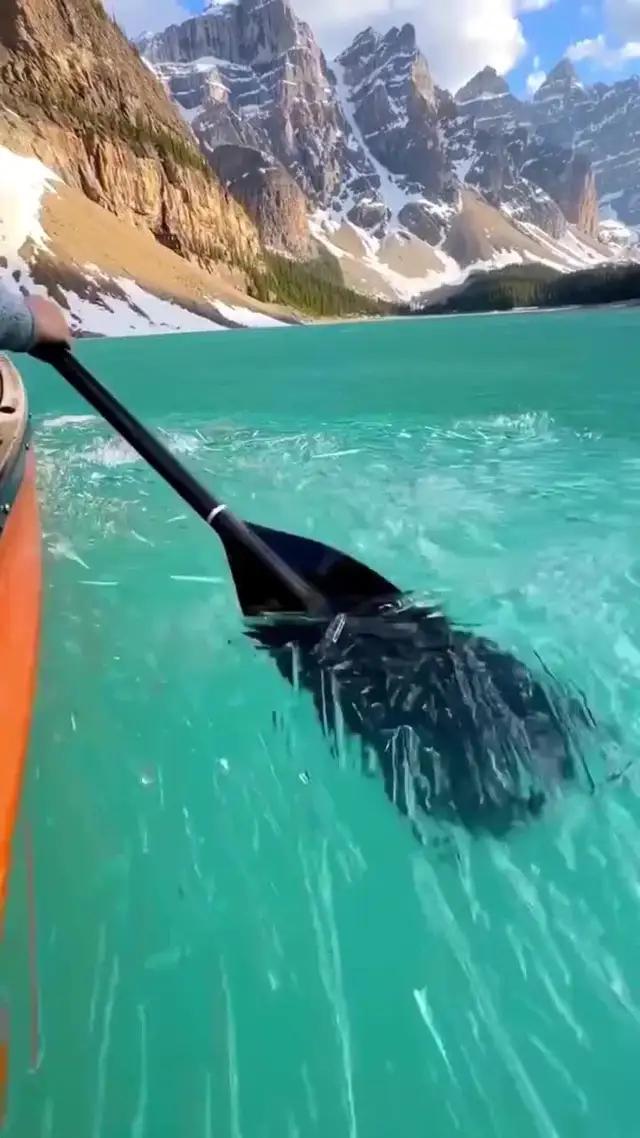 Compete with friends and win the karaoke championship.