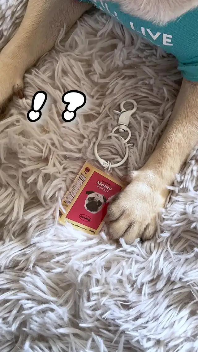 【この「かわいい」をアクキーに！】思い出をさらに可愛くするアプリ