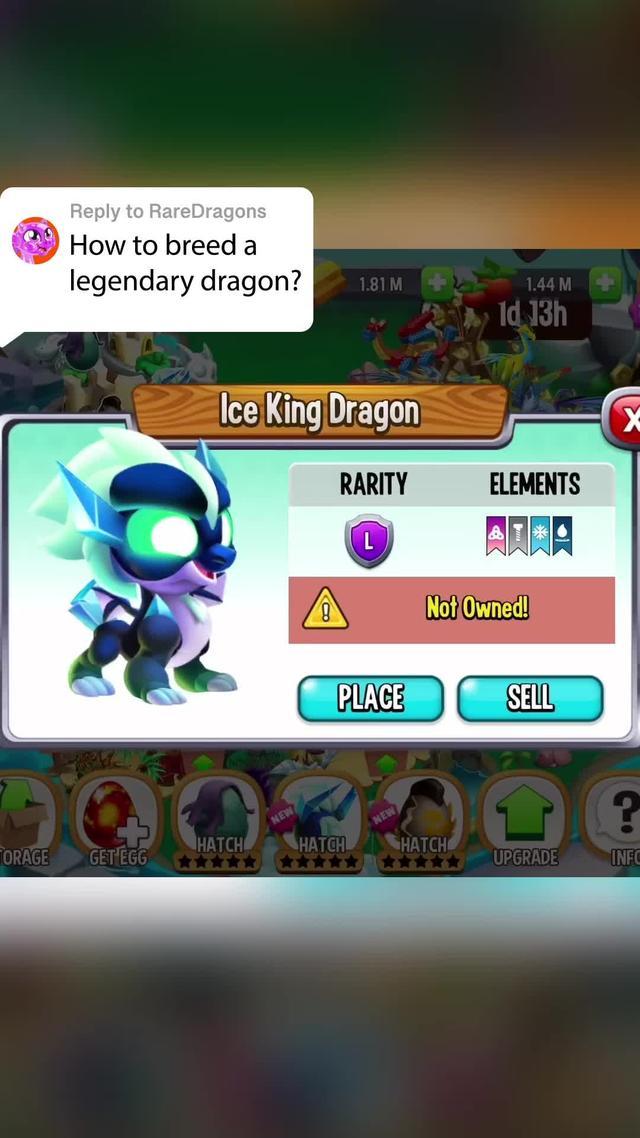 BREED & BATTLE DRAGONS!