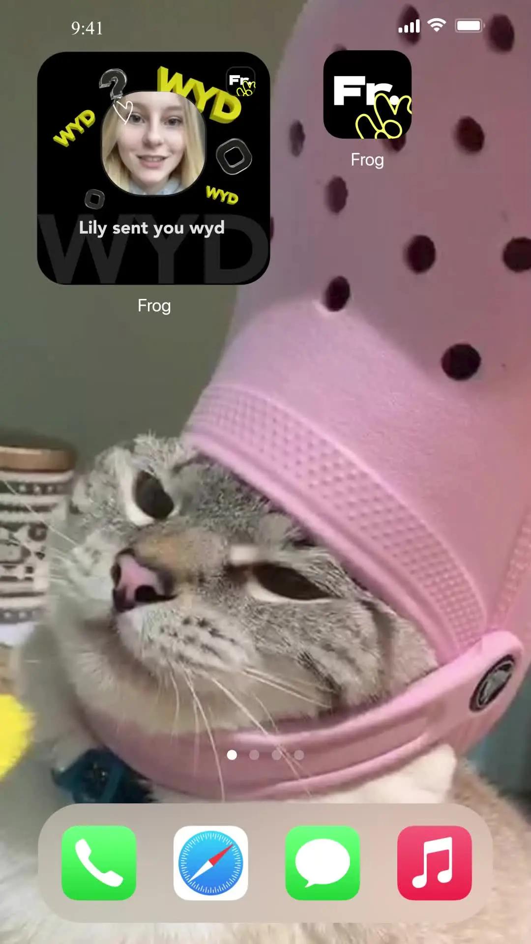 I asked my boyfriend to download Frog, so that he won't miss the message I made for him. #frogapp #fyp #homescreen #widget #apps #newapps #uk #couple #relationship #bf