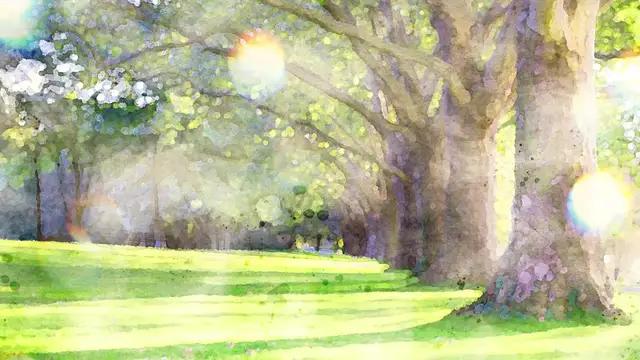 雑談枠で、気分をリフレッシュ