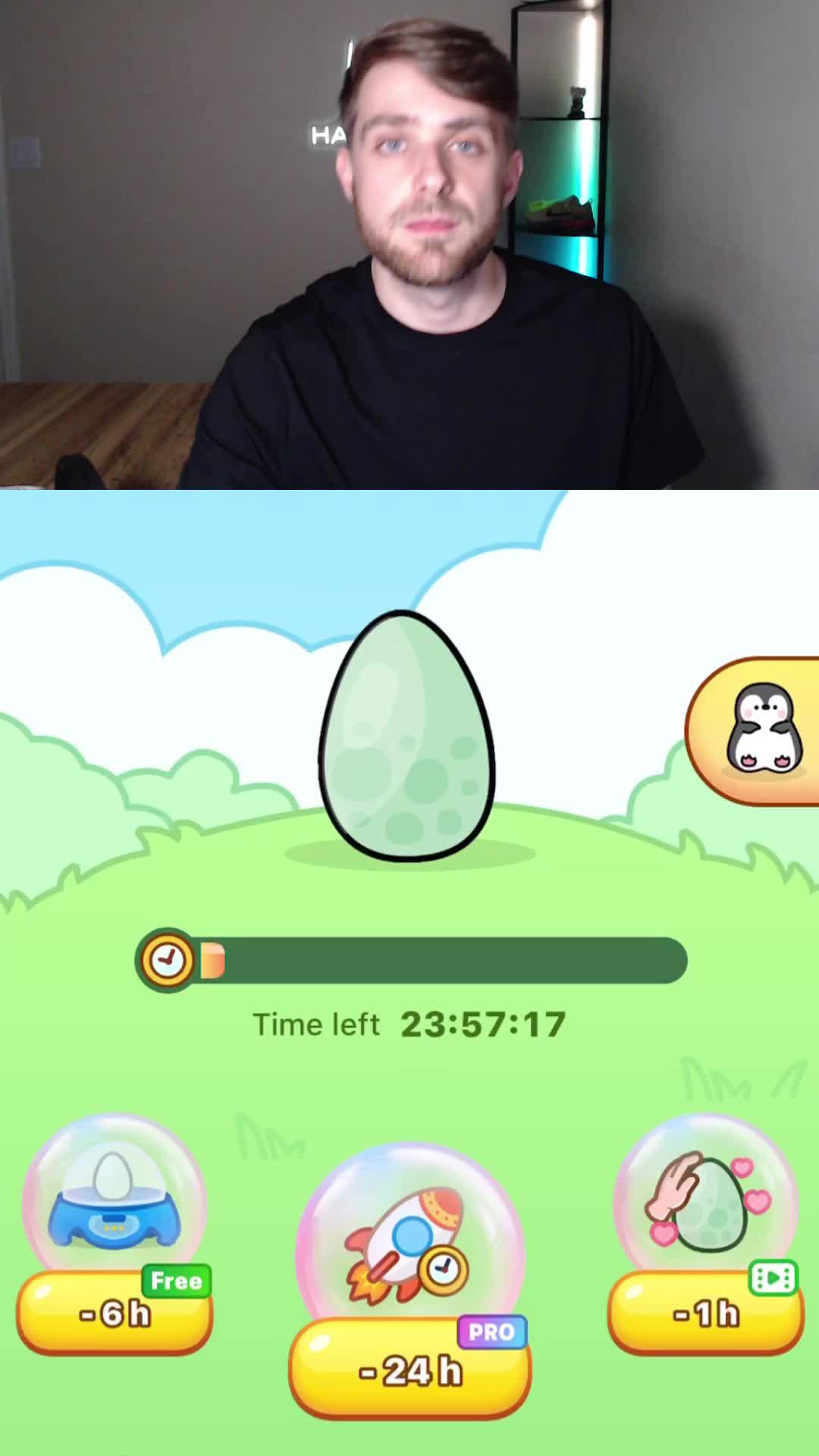 Raise a pet on your phone