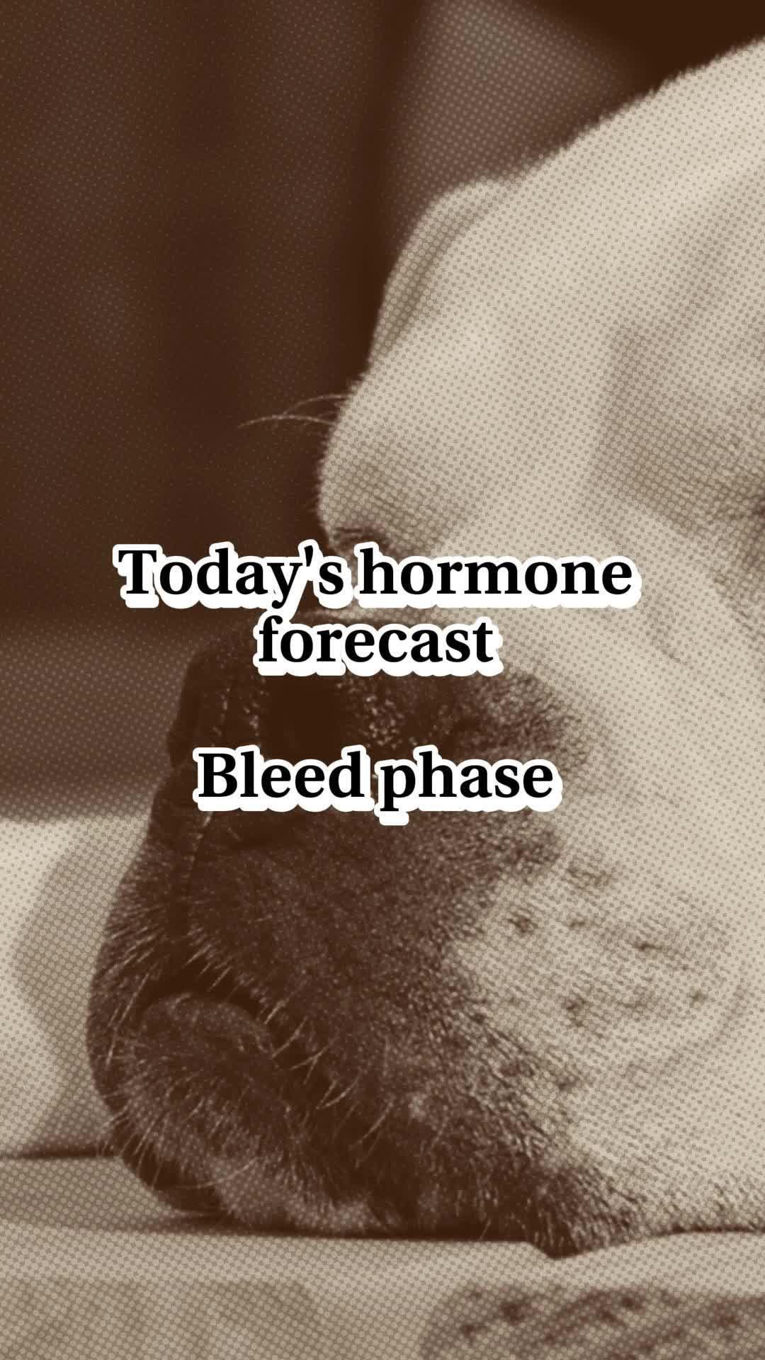 App of the Day: Learn why hundreds of thousands of women are using Moody Month.