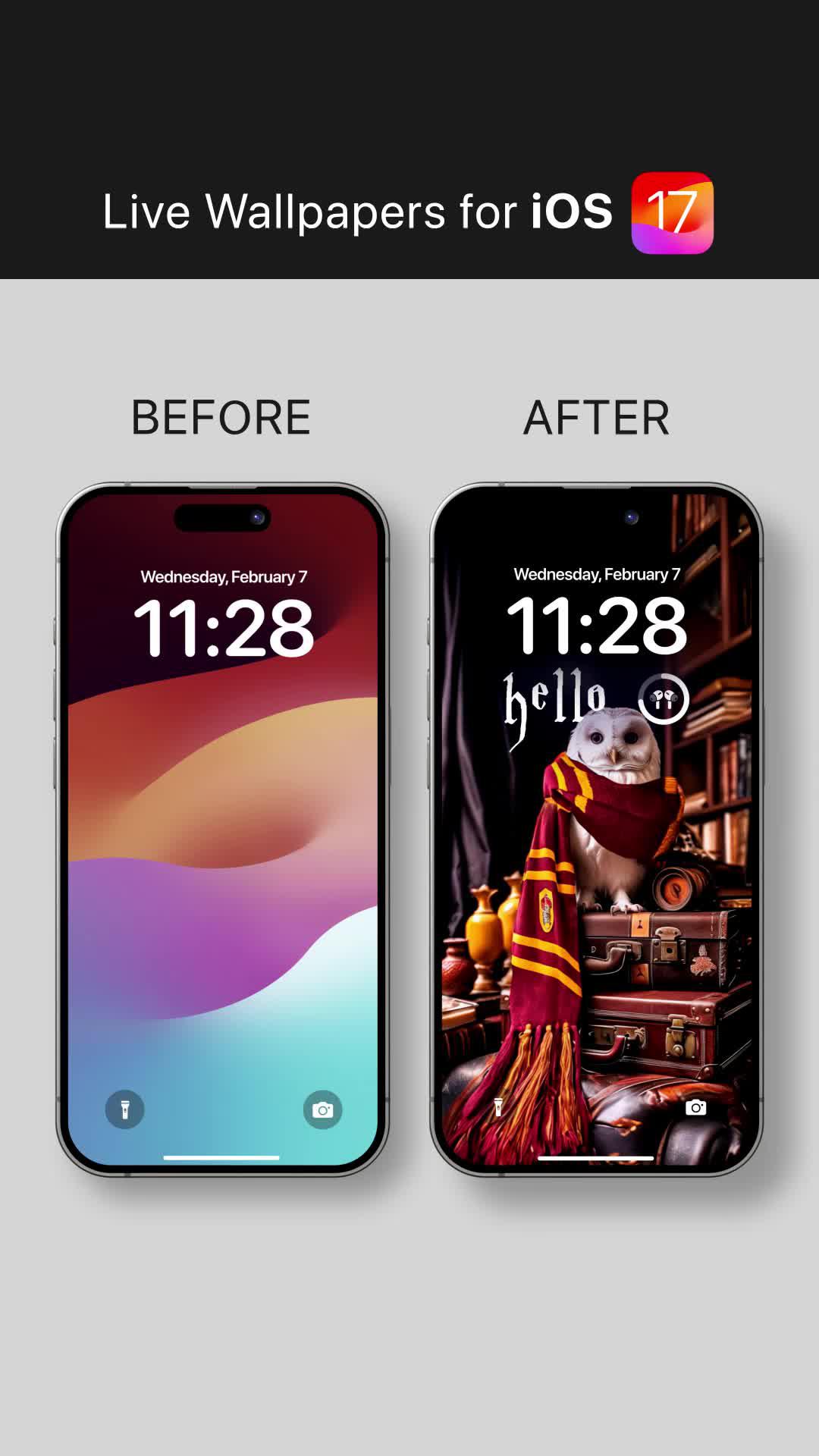 Experience our enchanting Wallpapers!