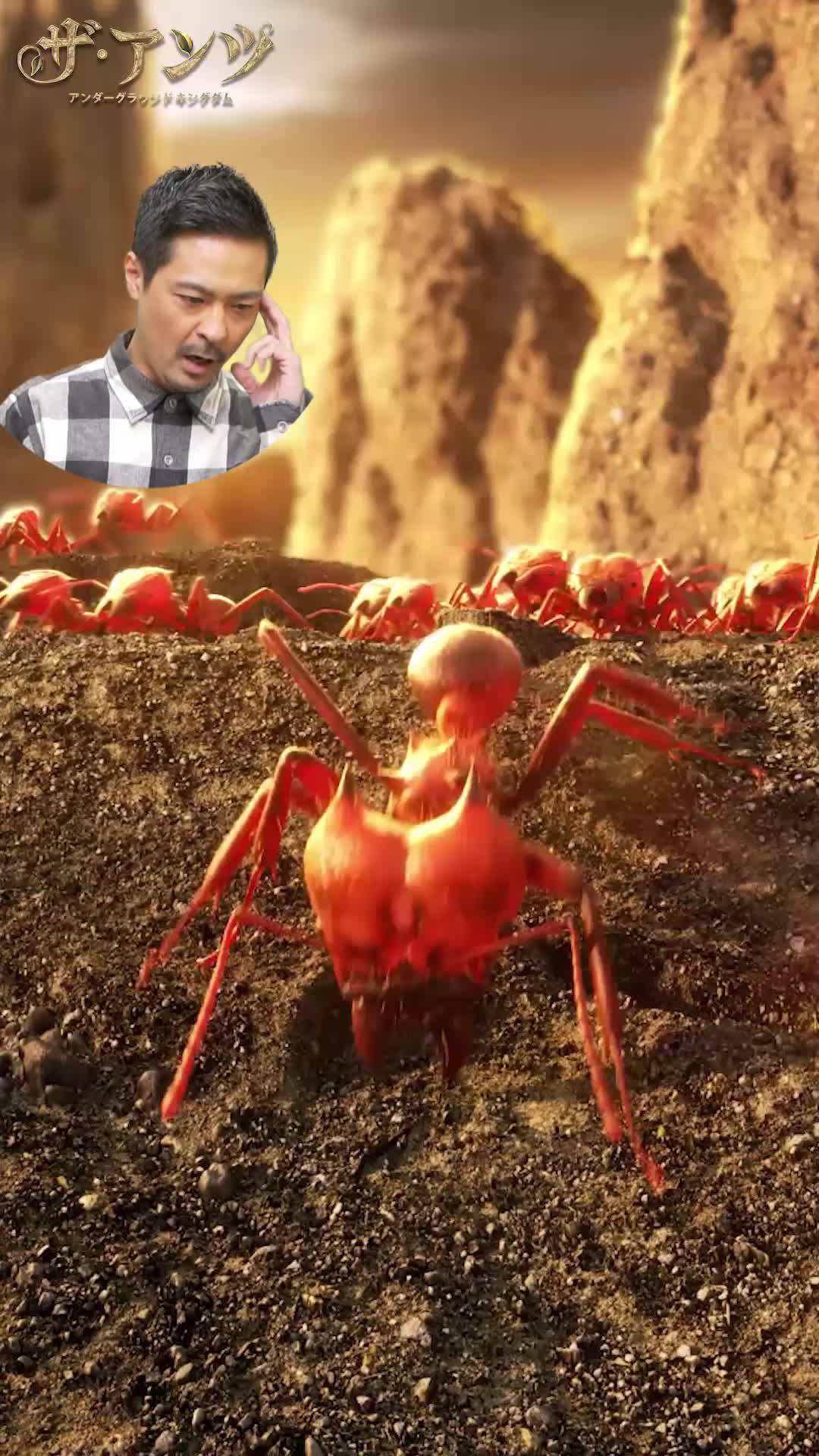 あなたのアリ帝国を築き上げろう