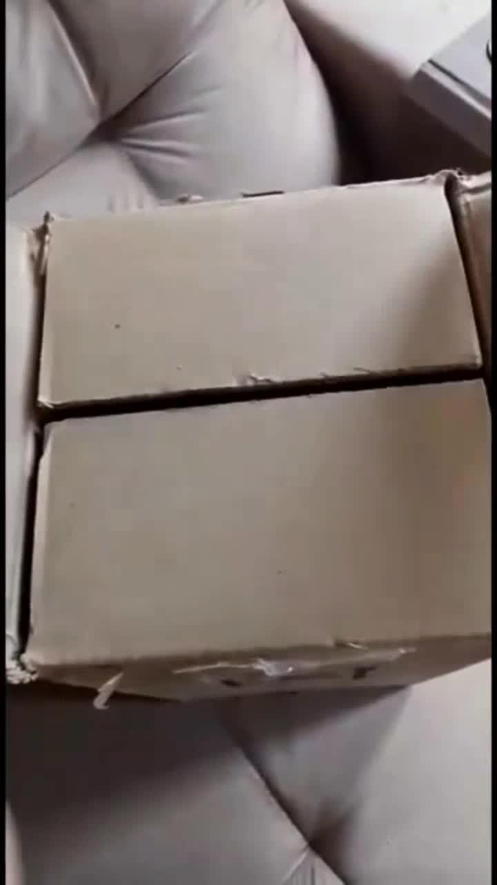 Aproveite As Melhores Ofertas do Mercado Livre com Envio Super Rápido! Baixe o App e Confira!