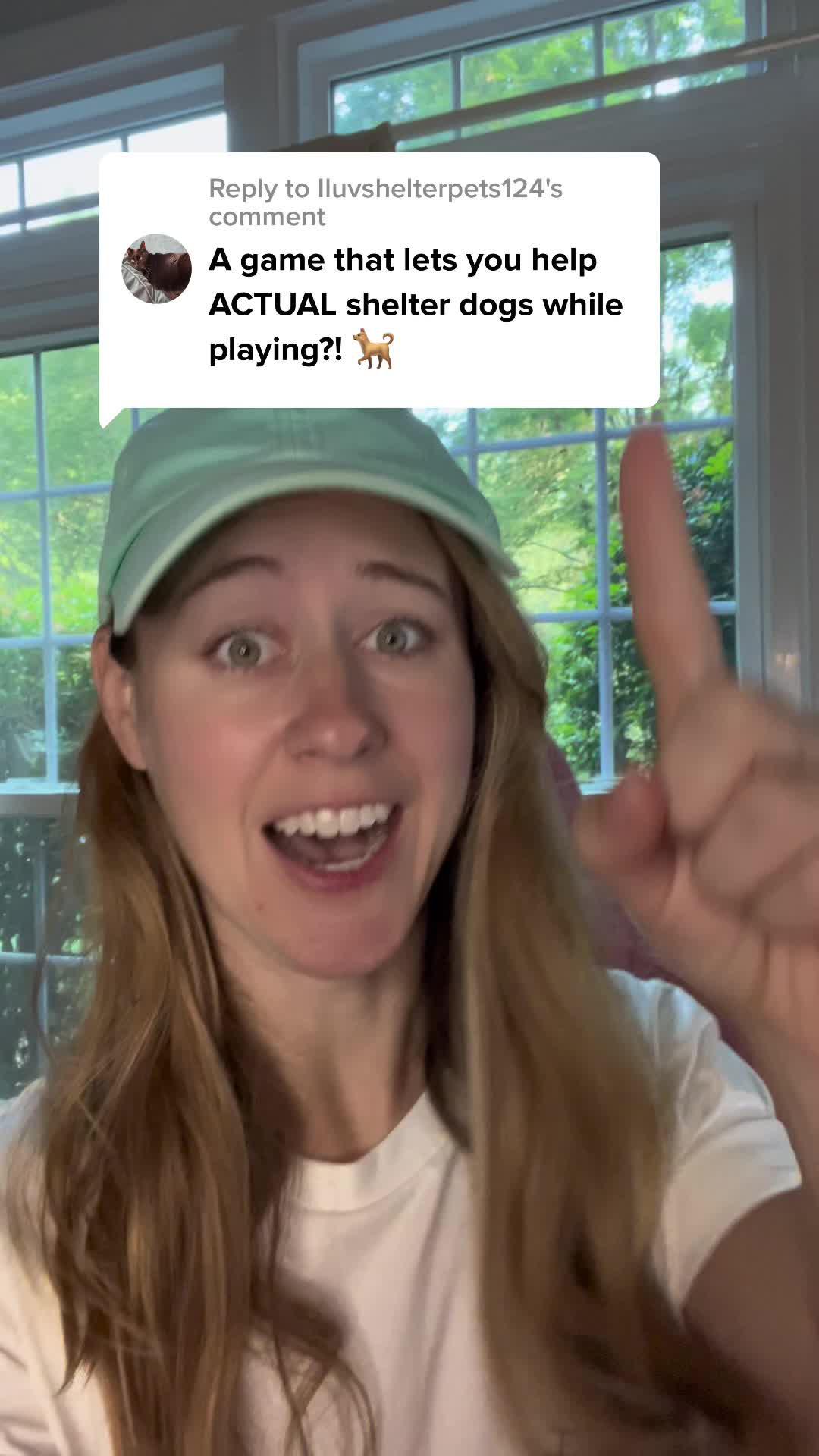 Play & send REAL goodies, and know once your dogs find a home! Treats are free!