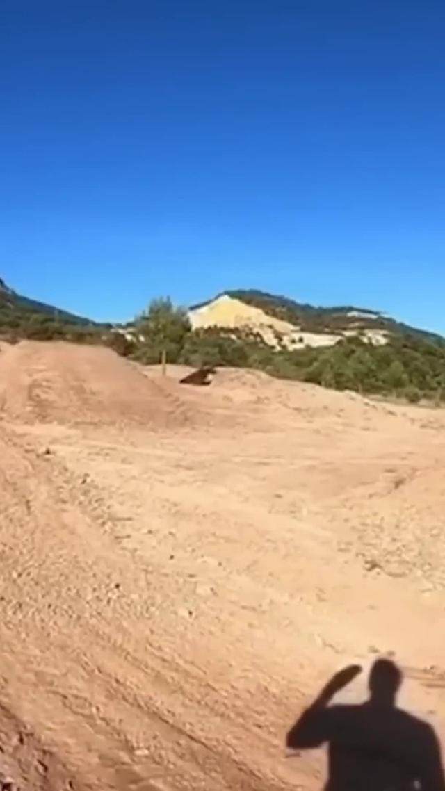 Those who survive well rest well!