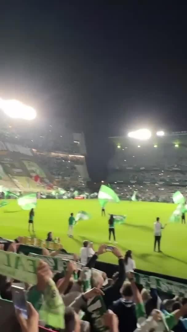 تبي ما يفوتك شي؟ شاهد فيديوهات بتغطية °٣٦٠، بث حصري للحفلات، المقابلات، رياضة و اكثر...