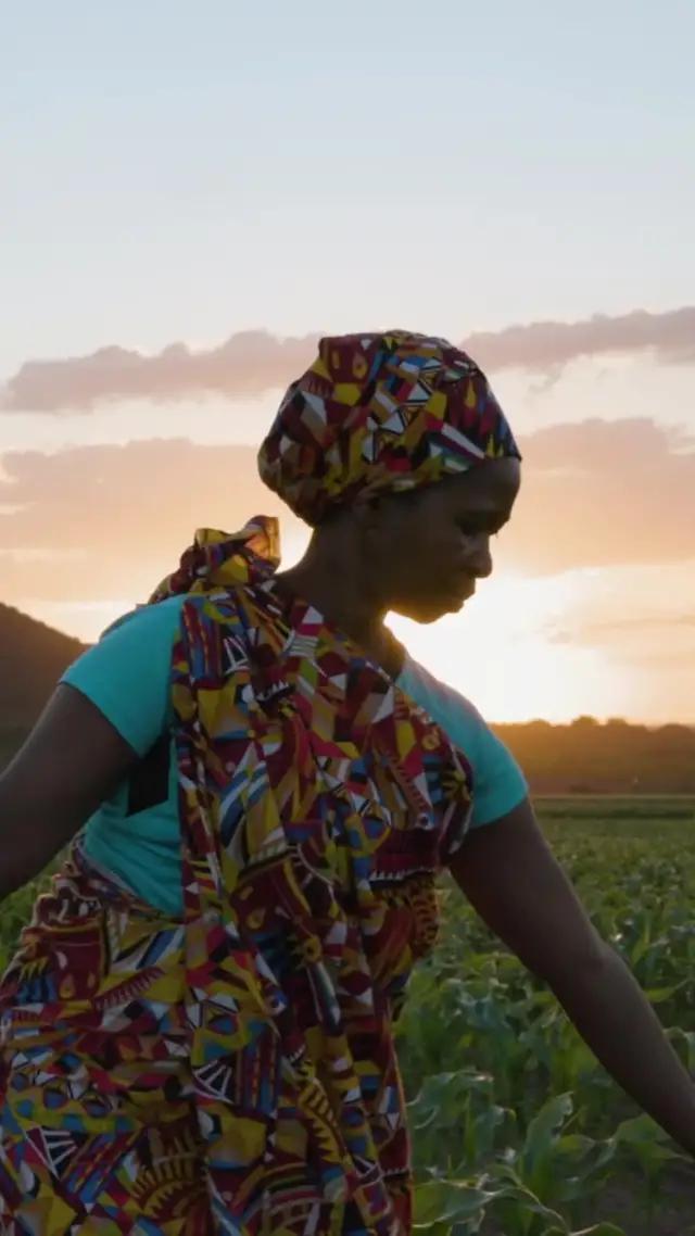 Donde sea que estés, envía dinero con Western Union