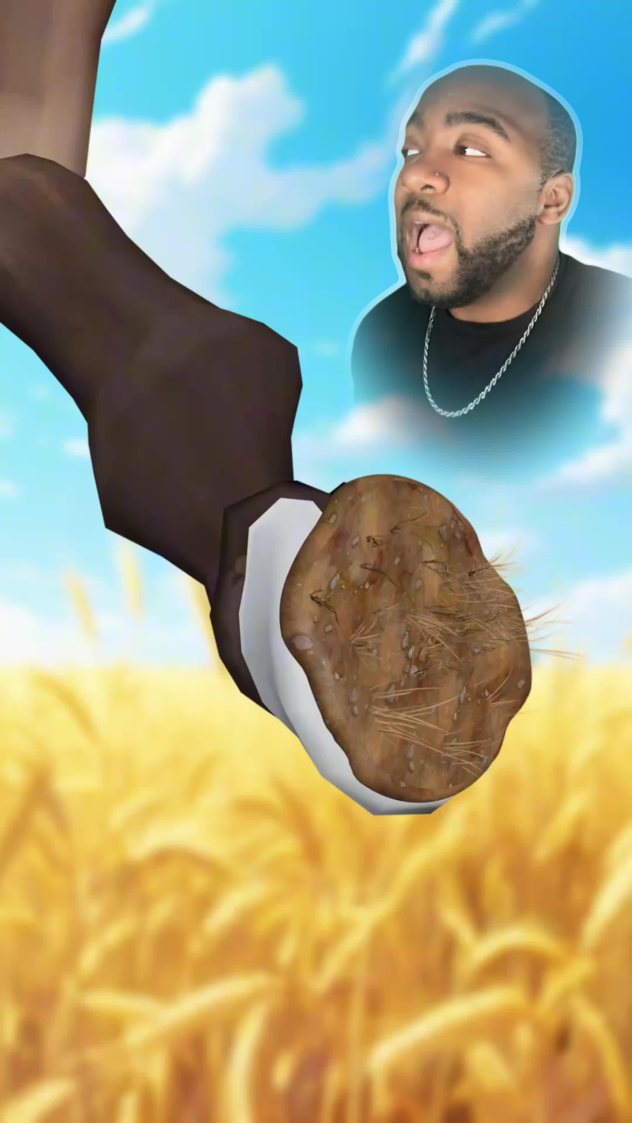 Animal empire awaits you!