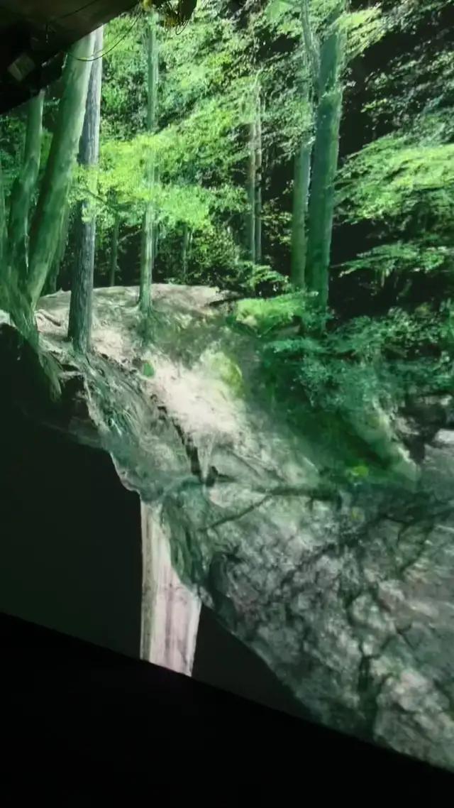 Find Gaucho and more in the Bimble app