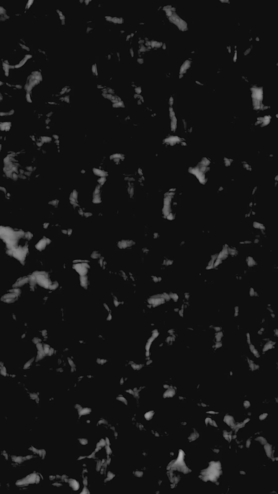 Transform your body with MadMuscle! Start your weight loss journey today!