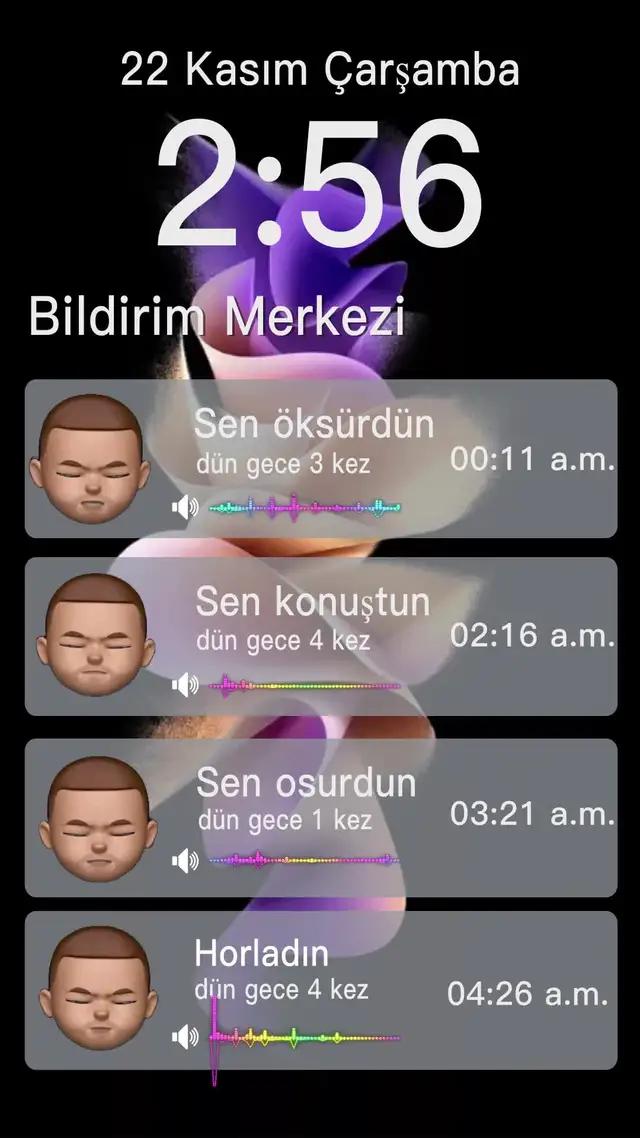 Uykunuzu kaydedin! Uyku Apnesi, diş gıcırdatma veya gece konuşmayı izleyin.