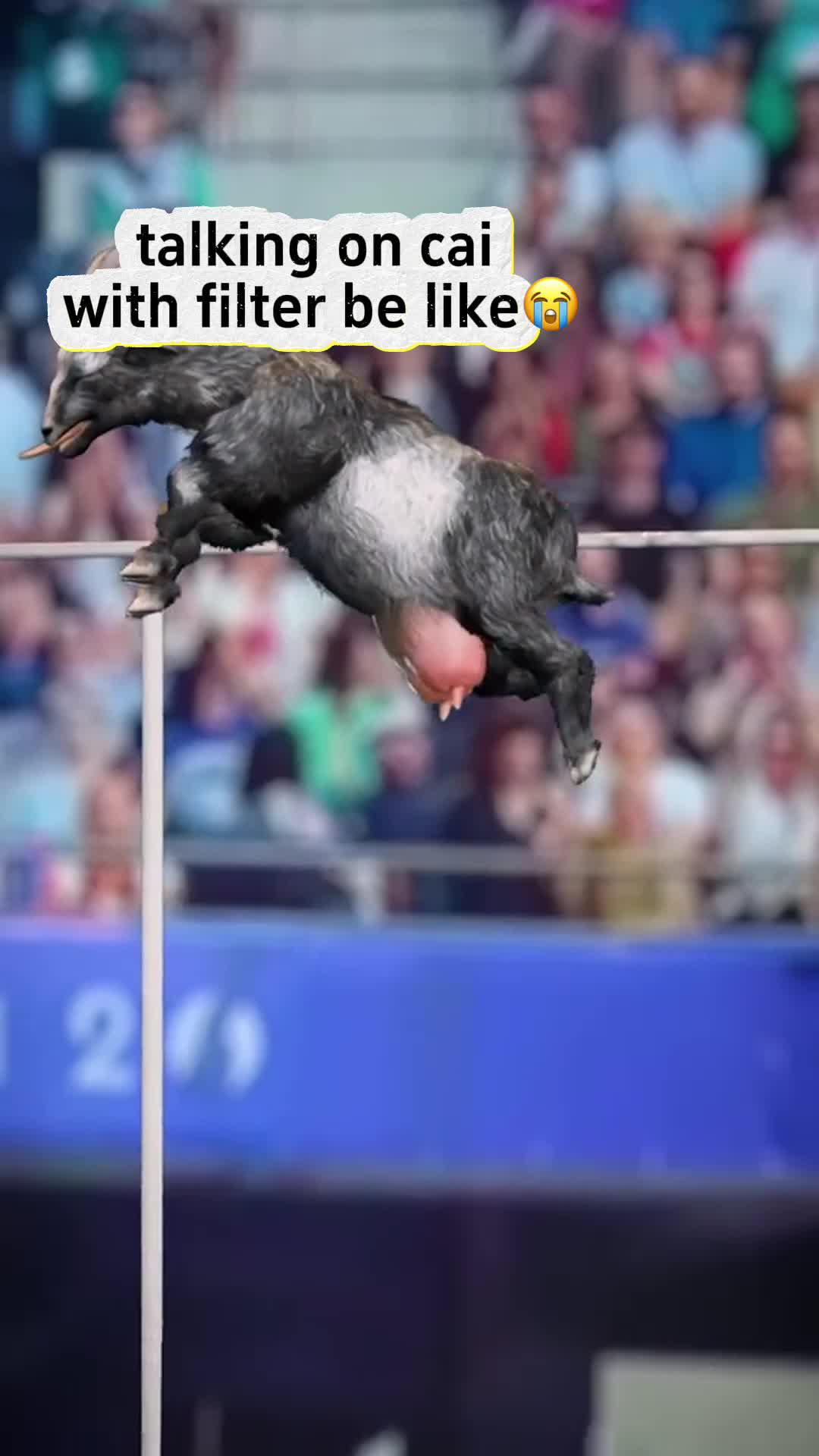 Life in Poly.ai is so much FUN!