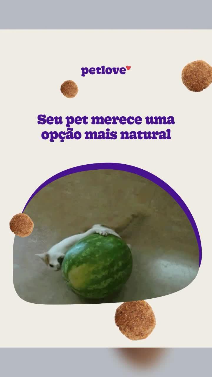 Ração Natural na Petlove