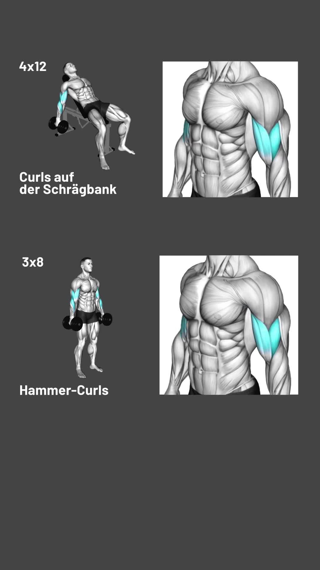 Mehr Gains durch smartes Krafttraining!
