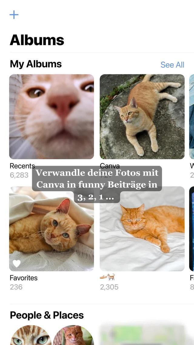 Mit Canva bearbeitest du deine Bilder schnell und mühelos. Hol dir Canva. Gratis.