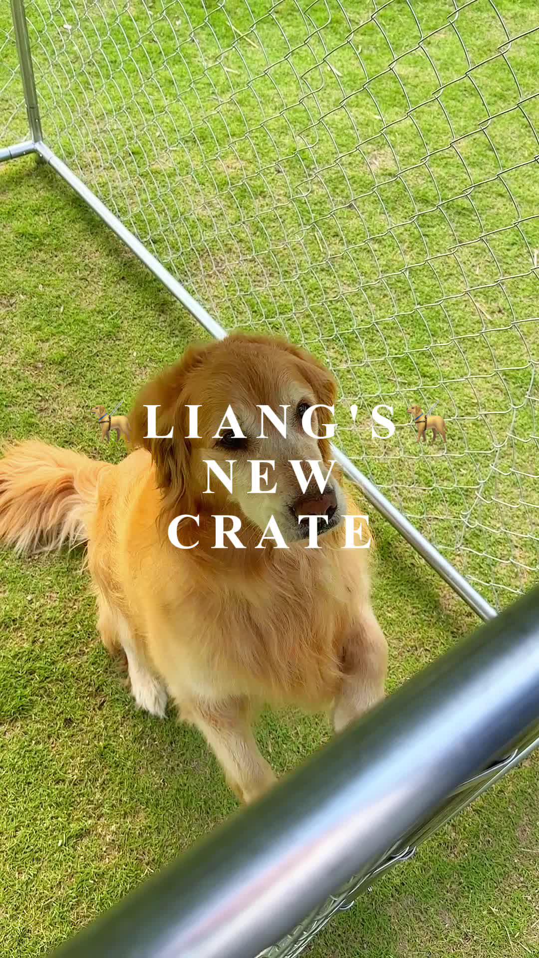 Lounge in style with this outdoor patio relaxation set! 🌞🛋️ #PatioChill #RelaxationReady #OutdoorElegance #LoungingLuxury #StaycationStation