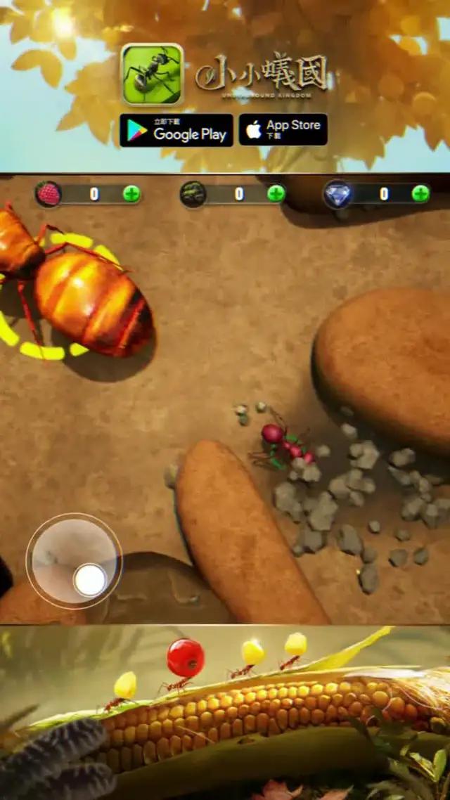 全球首款螞蟻策略手游