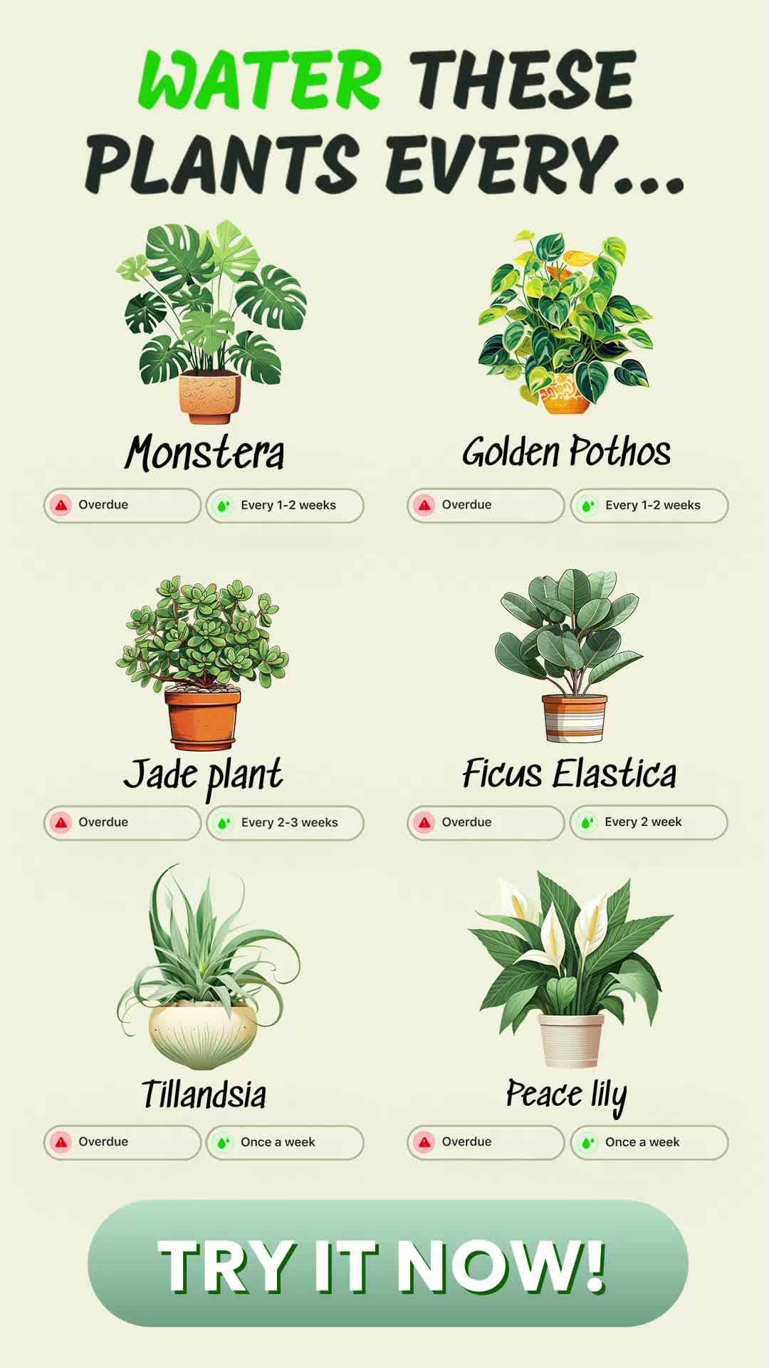 Track your plants' progress. Get personal notifications on plant care