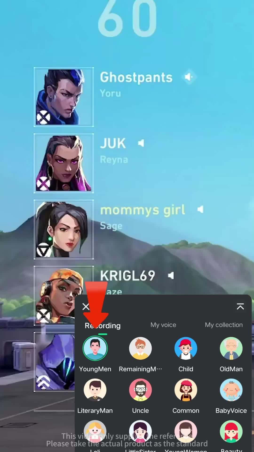 Voice changer that can be used for chatting, singing and playing games