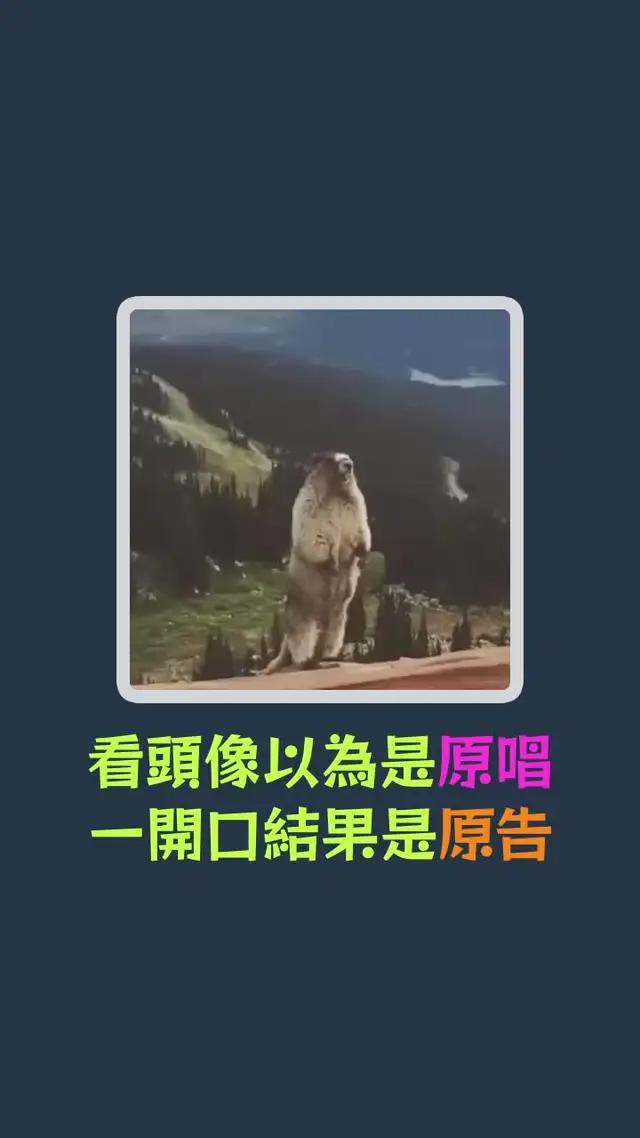 和你的合唱CP驚艷開嗓，K歌從此無距離！