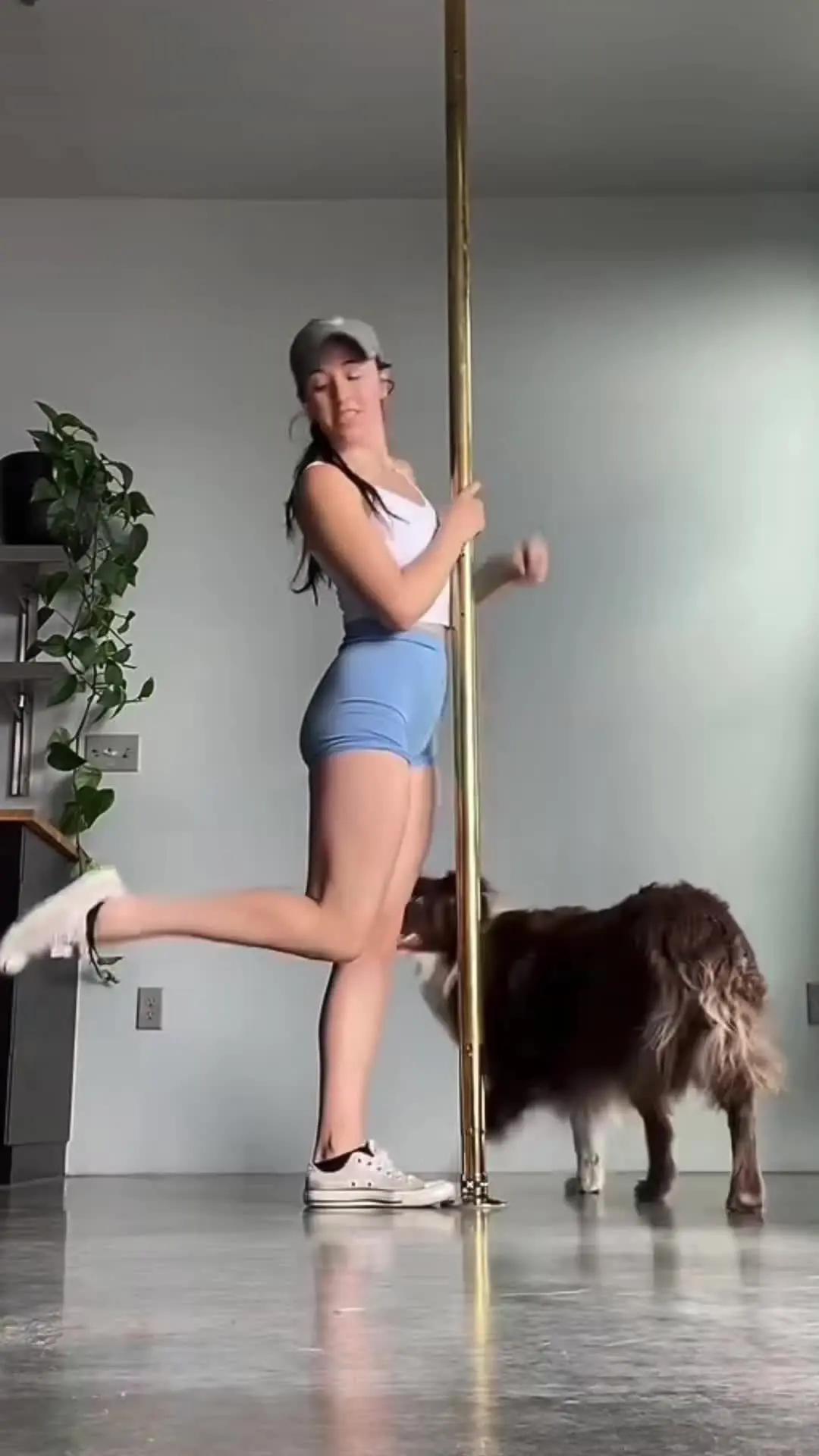 Elevate Your Pup's Skills with Woofz!