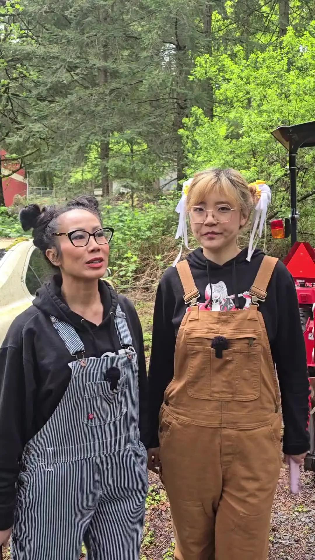 5 minute lessons that just work