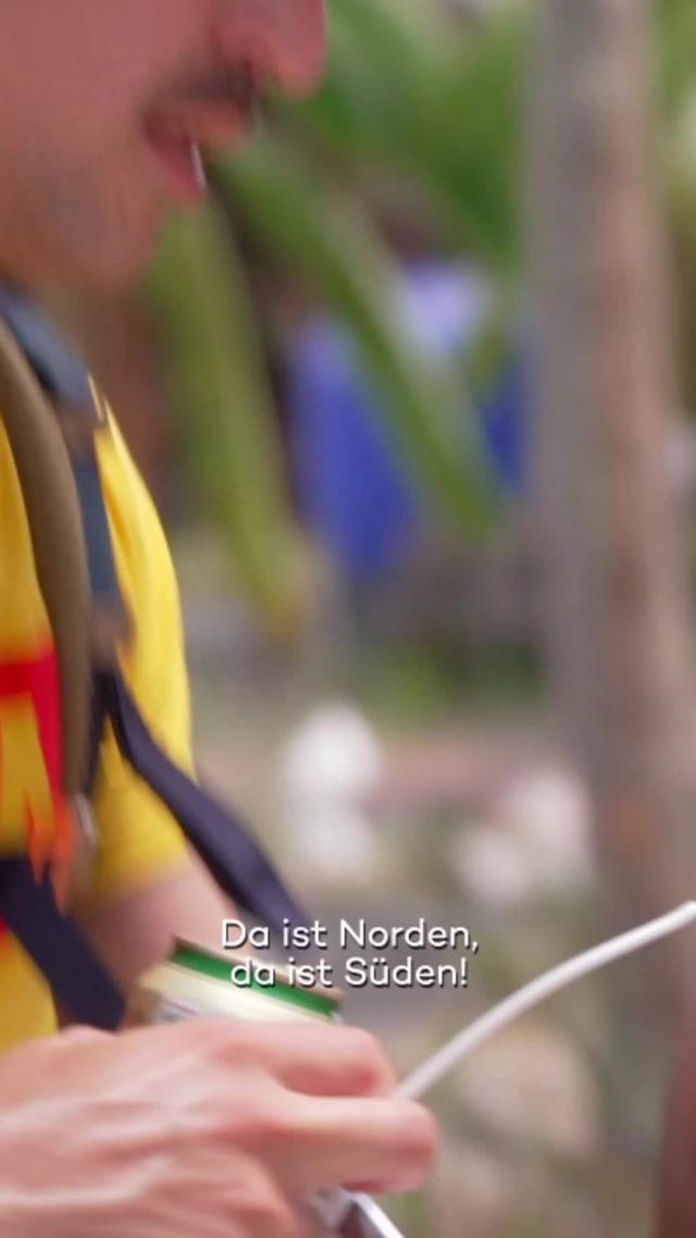 Acht Reality-Stars auf einer paradiesischen Insel. Im Wettbewerb an verschiedenen Orten.